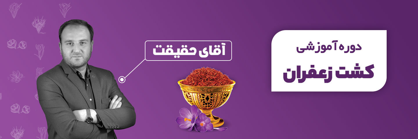 آموزش کشت زعفران